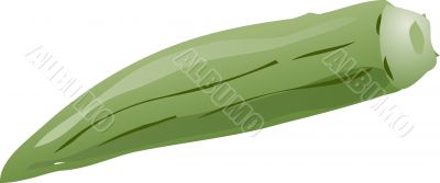 Okra