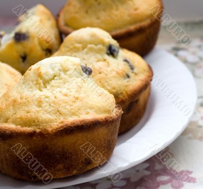 Blueberry Muffins