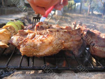 shashlik from pork shashlik from pork