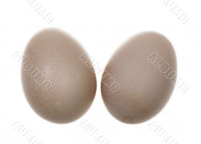 Two free range chicken eggs isolated on white Two free range chicken eggs isolated on white