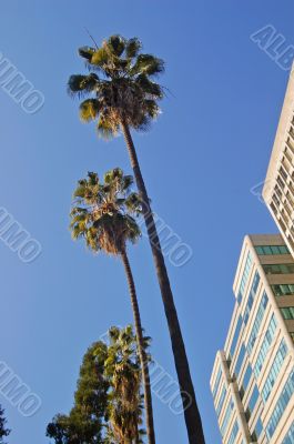 Corporate Office Building Corporate Office Building
