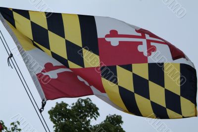 Maryland Flag