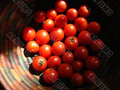 tomatoes in a basket