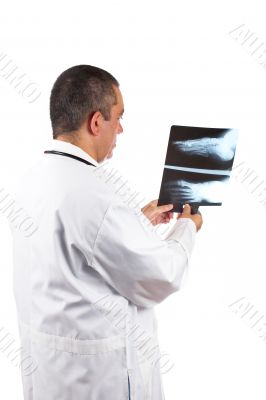 Male doctor examining x-ray