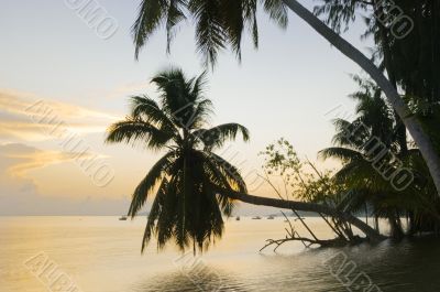 Sunrise on the tropical island