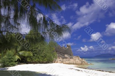 Pristine tropical beach