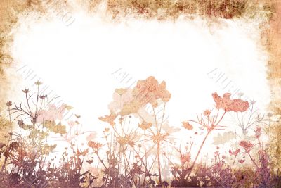 flower textures

