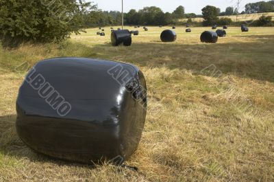 Hay bales