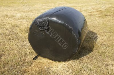 Plastic bale