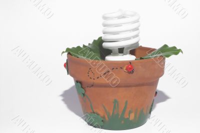 Light Bulb Potted Plant