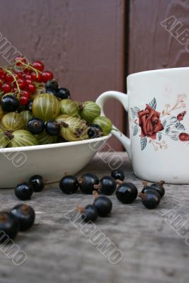 cup of milk and fruit cup of milk and fruit