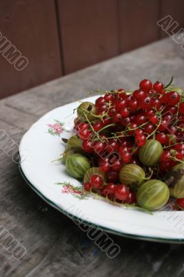 plate with berries plate with berries