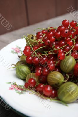 plate with berries plate with berries