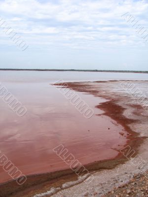 Environmental pollution with toxic fluid Environmental pollution with toxic fluid