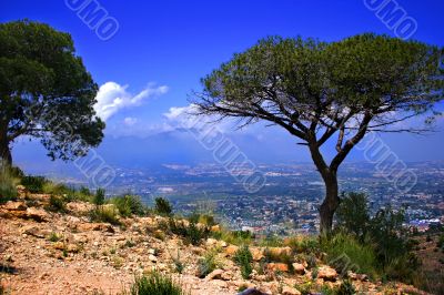 Spanish Landscape