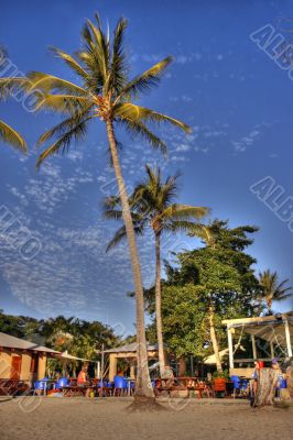 tropical island - daydream