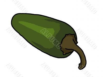 jalapeno pepper illustration
