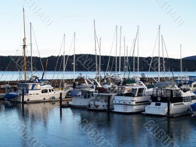 boats at the marina