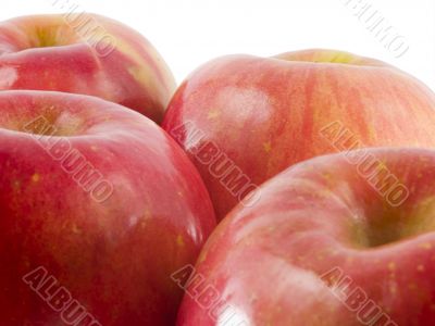 fresh fuji apples
