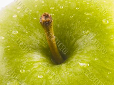 green apple stem