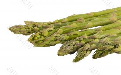 Asparagus Shoots