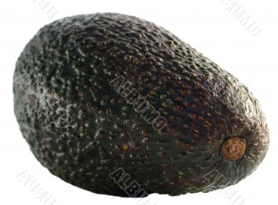 avocado avocado