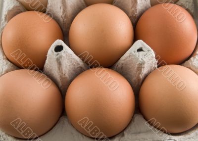 brown egg carton