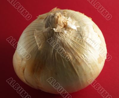 onion