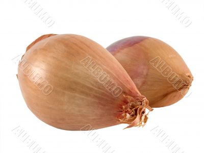 two shallots two shallots