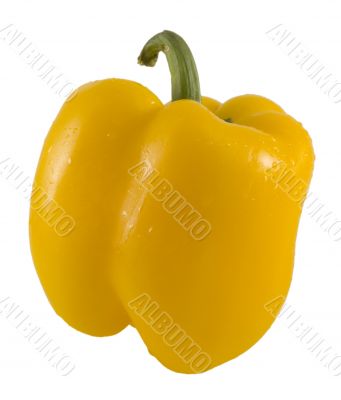 yellow bell pepper