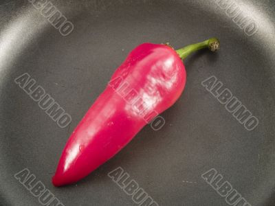 red hot chili pepper in a pan