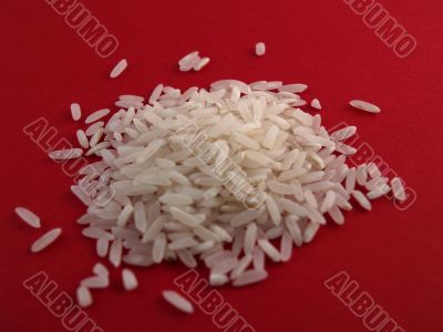 rice rice