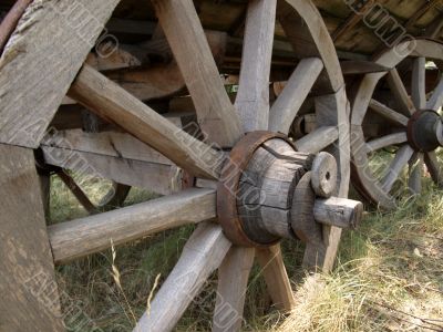 Wagon Wheels