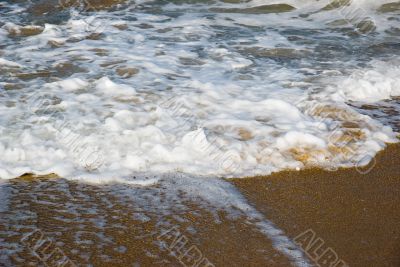 Coastline of the beach