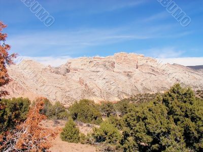 Go Outside and Enjoy