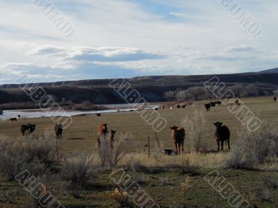 Go Outside and Enjoy