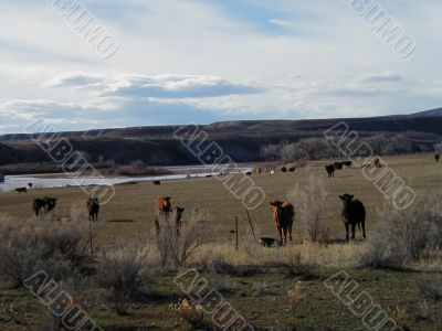 Go Outside and Enjoy