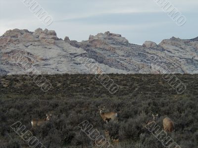 Go Outside and Enjoy