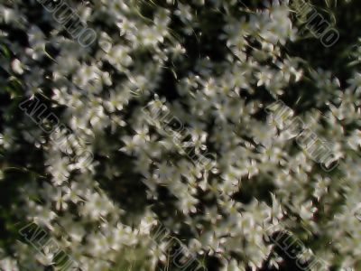 Go Outside and Enjoy