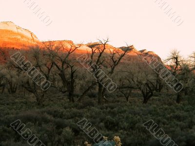 Go Outside and Enjoy