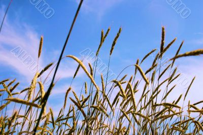 Go Outside and Enjoy