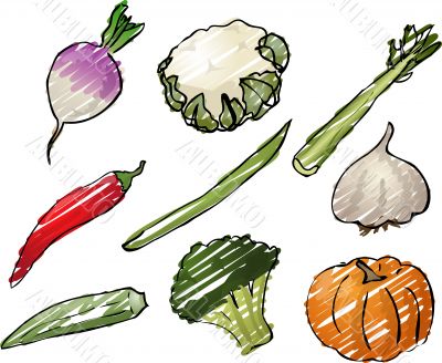Vegetables illustration
