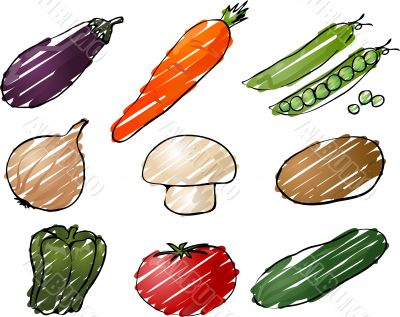 Vegetables illustration