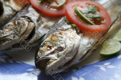 Grilled fish
