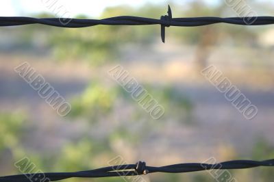 Abstract Interesting Background