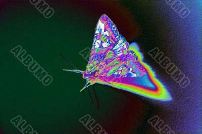 Abstract Interesting Background