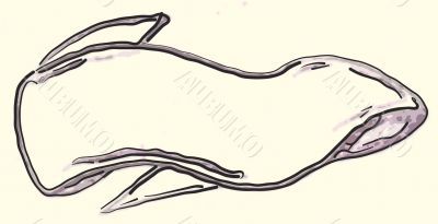 Personalizable Illustration