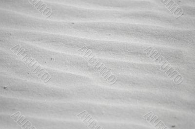 playing at the whitehaven beach playing at the whitehaven beach
