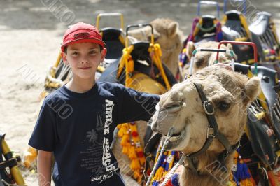 camel camel