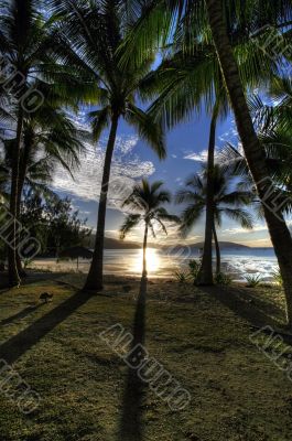 tropical sunset tropical sunset